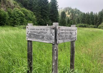 Two trail signs in a grassy forest meadow point hikers to different trails.