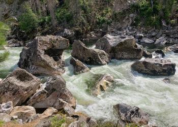 a raging creek