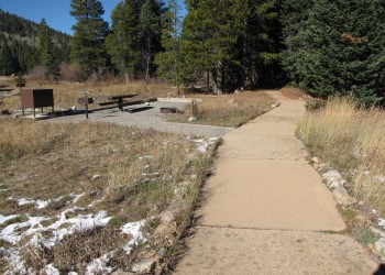 path to campsite in forest