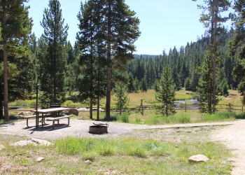 Image of a Forest Service campground near a stream