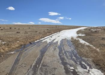 An image of a muddy road with snow on it through a meadow