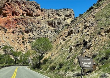 A forest entry sign in a red rock canyon