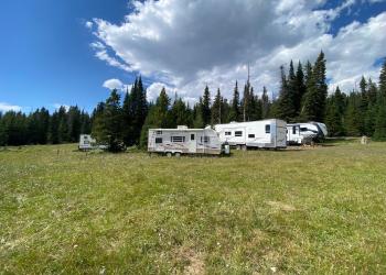 Image of several camp trailers along the trees in a mountain meadow
