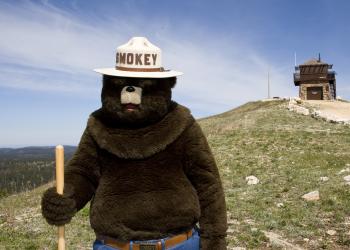Smokey Bear at Cement Ridge Lookout