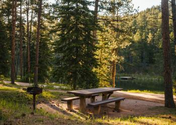 Dalton Lake Picnic Table, Northern Hills Ranger District