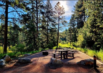 A picnic table in the middle of a recreation site with the sunlight shinning through evergreen trees. 