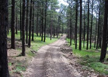 ohv trail