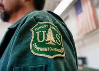 Close-up of a US Forest Service badge sewn on the sleeve of a dark green uniform