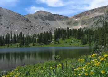 A scenic view of a high alpine lake surrounded by wildflowers