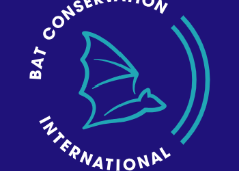 Logo for Bat Conservation International