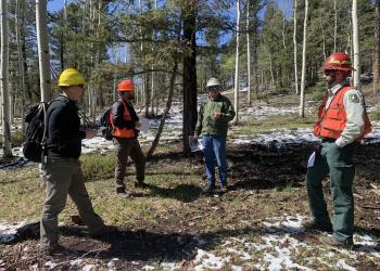 Four people standing around in a forest