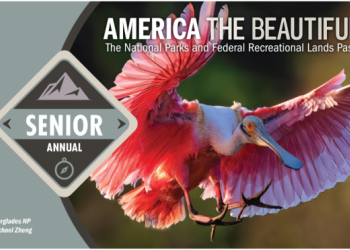 Senior Annual Pass