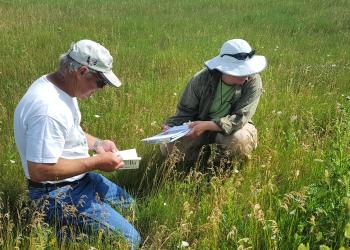 Two volunteers participate in a "bioblitz" day.
