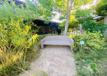 Image shows a tan bench in the center of a lush foliage area of the living landscape outside the National Grasslands Visitor Center.