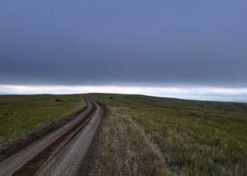 A dirt trail with a dark, overcast sky.