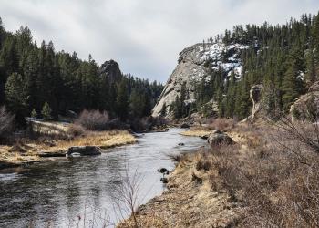 The South Platte river river in Eleven mile Canyon on the South Park Ranger District. 