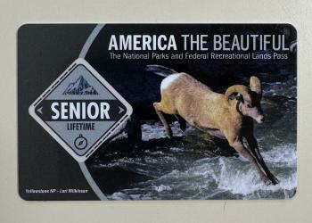 The America The Beautiful Senior Lifetime Pass