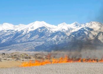 Flames rise up 4 to 6 feet above the surface of burning grass. Snow covered mountains are in the background. 