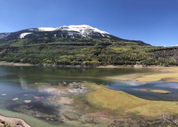 yellowish green grass transitions into water with a forested mountain giving way to a snow covered peak. 