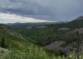Look down a Mountain drainage over the green forest. Various shades of grey clouds above.