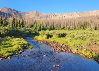 A view looking up the middle of a medium sized dark blue water creek towards some beetle kill spruce trees and a gray rocky ridge above timberline.  Light blue sky in the background.