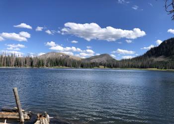Fluffy white clouds in a blue sky are above the mountains and lake with trees on the opposite shore. 
