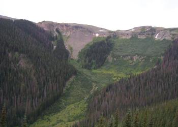 Hundreds of dead trees are seen on both sides of an avalanche chute on a mountain with tiny patches of snow at the top. 