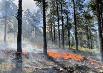 Snow Ranch Fire