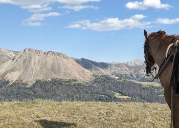 A saddled horse with a "US" brand standing in front of a mountain range