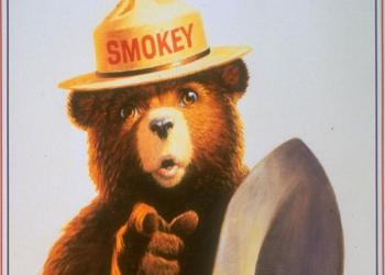 Smokey Bear pointing at you