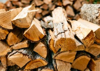 Woodpile