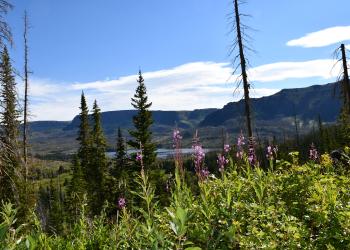 Blanco Ranger District