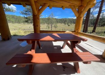 Picnic table on forest landscape.