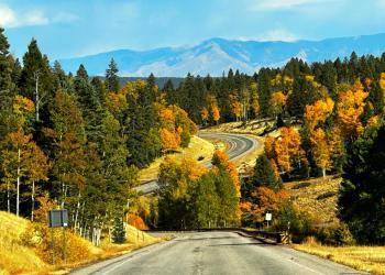 A sinuous paved road in a forest during fall color.