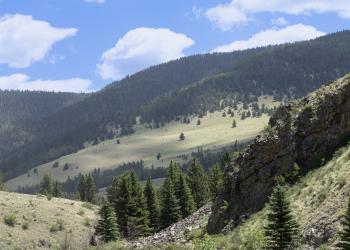 Forested and grasslands on a mountainside.