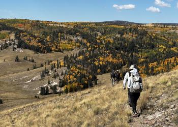 Hikers walk down a hill