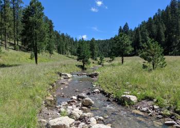 Limestone Canyon