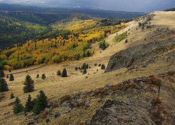 Mt. Taylor view from Gooseberry