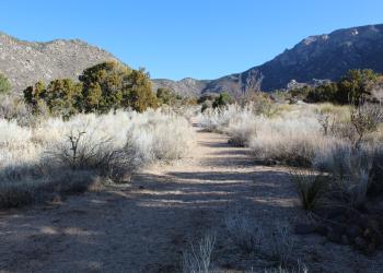 Three Gun Trailhead