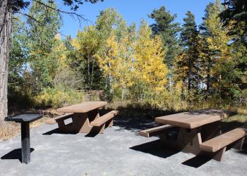 Two picnic tables in a forest on a sunny day