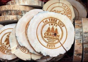 A pile of tree crosscuts are emblazoned with the wording "1st TREE CUT CWPP CRAGIN WATERSHED PROTECTION PROJECT 2022"