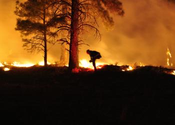 A firefighter ignites a backburn while fighting the 89 Mesa Fire in 2010.