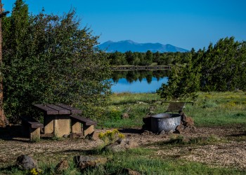 A large green shrub and a picnic table sit to the left of the photo, and a fire pit sits to the right of the photo while a lake, trees and mountain range are shown in the background