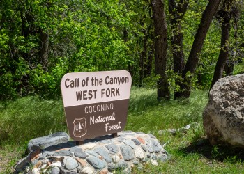 A sign reads Call of the Canyon WEST FORK COCONINO National Forest