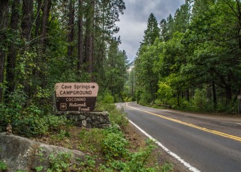 A tan-and-brown sign that reads Cave Springs CAMPGROUND COCONINO National Forest sits alongside a two-lane road with pine trees and shrubs along the sides