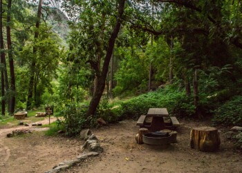 A gravel road leads between green trees as a picnic table and fire pit sit on an elevated surface off to hte side