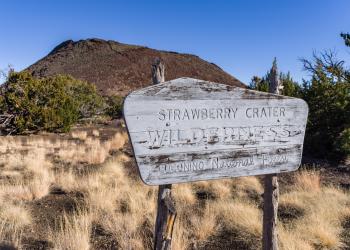 A faded wooden sign that reads Strawberry Crater Wilderness Coconino National Forest stands in front of a large hill and a grass landscape