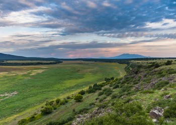 A green bed of grass is visible in front of a cloud-filled sky and a small mountain range