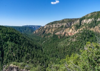 A canyon of red rocks and green trees rests beneath a blue sky