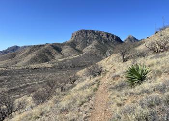 The Guindani trail through the Whetstone Mountains